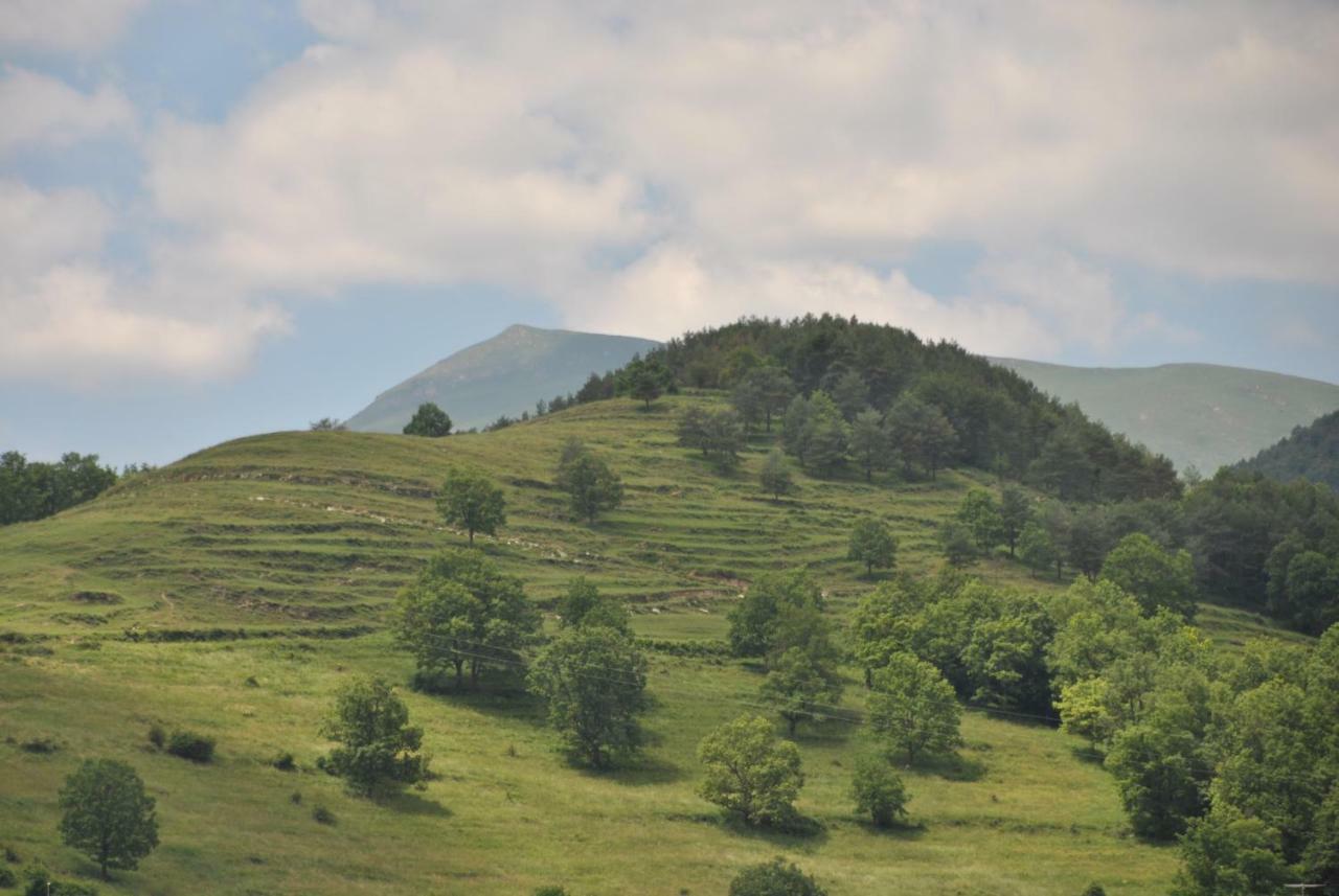 Can Taga Verd St Joan Сан-Джоан-де-лес-Абадесес Екстер'єр фото